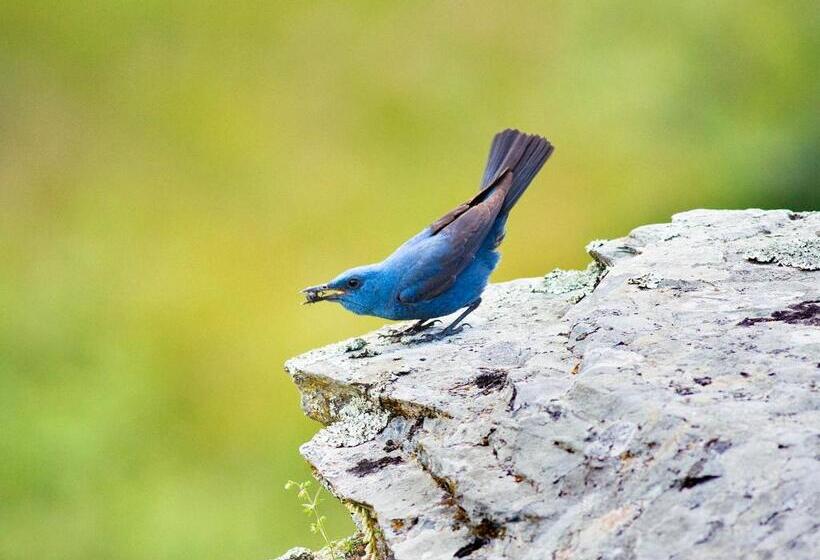 Casa Babel Monfragüe