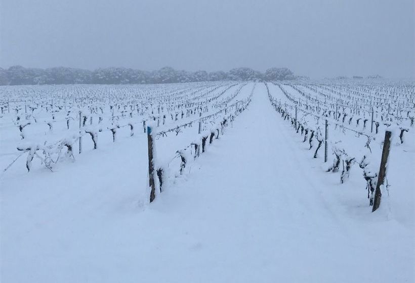 Casa Rural La Navarra