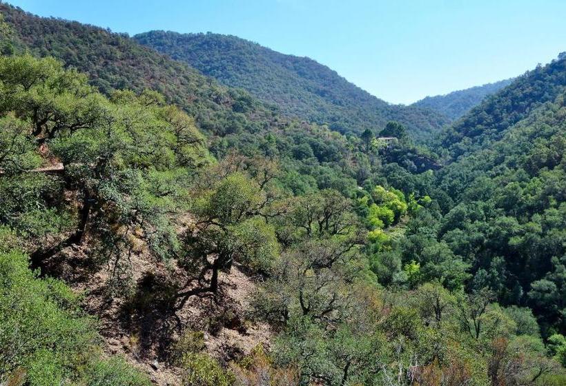 Casa Rural Vista Alegre , Cerca De Valencia Y Castellón
