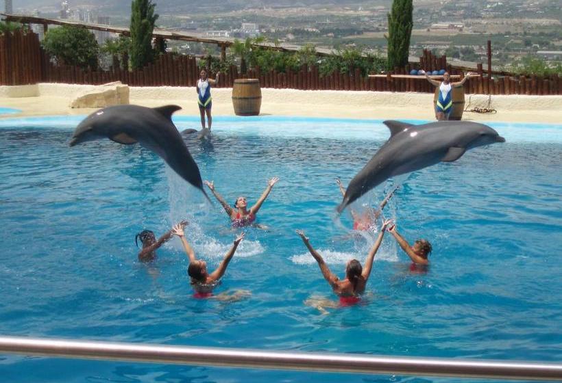 Casa Rural Vista Alegre , Cerca De Valencia Y Castellón