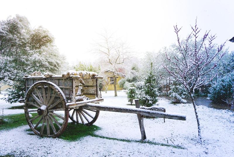 El Manantial Del Fresno Casas Rurales En Hervás