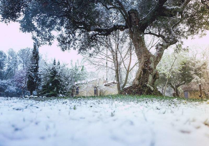 El Manantial Del Fresno Casas Rurales En Hervás
