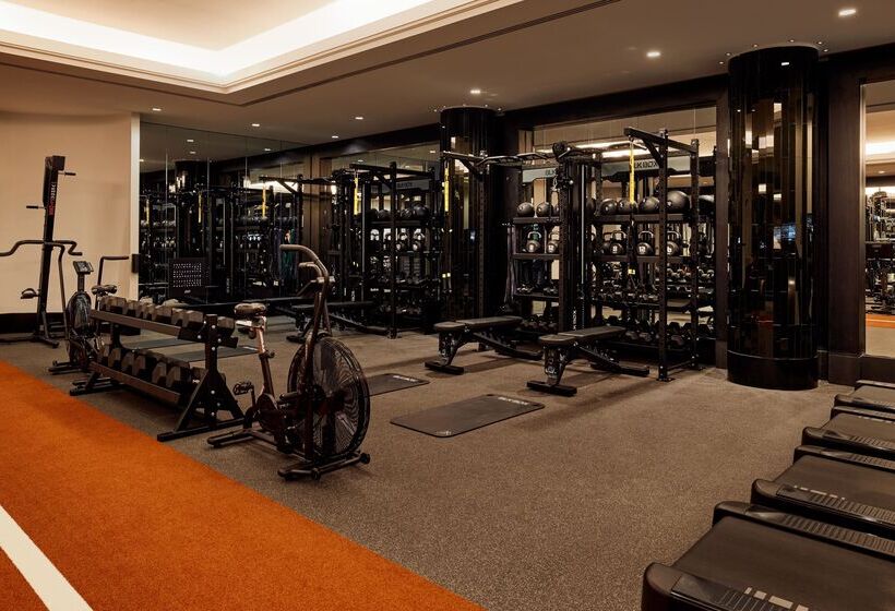 酒店 Corinthia  London