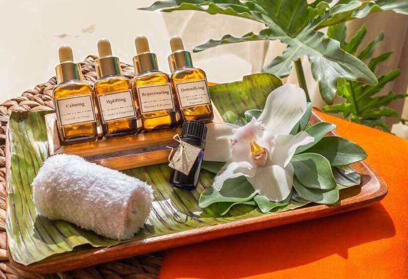 هتل Discovery Boracay