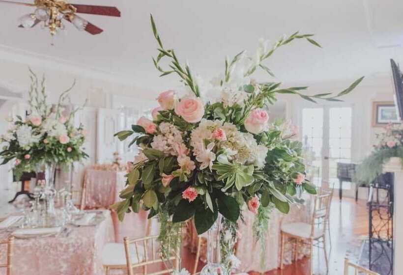 فندق Fogo Resort