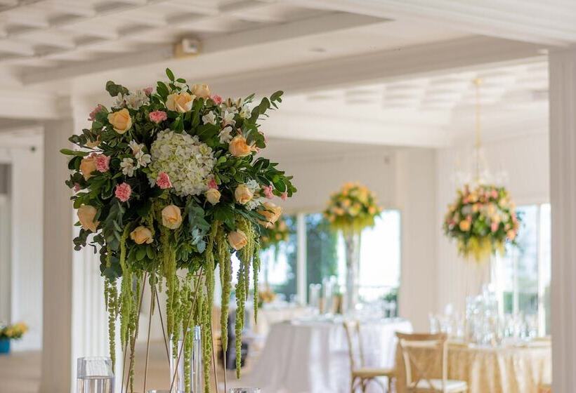 فندق Fogo Resort