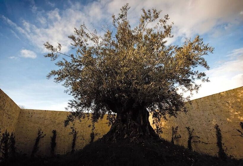 בית מלון כפרי Foro Appio Mansio