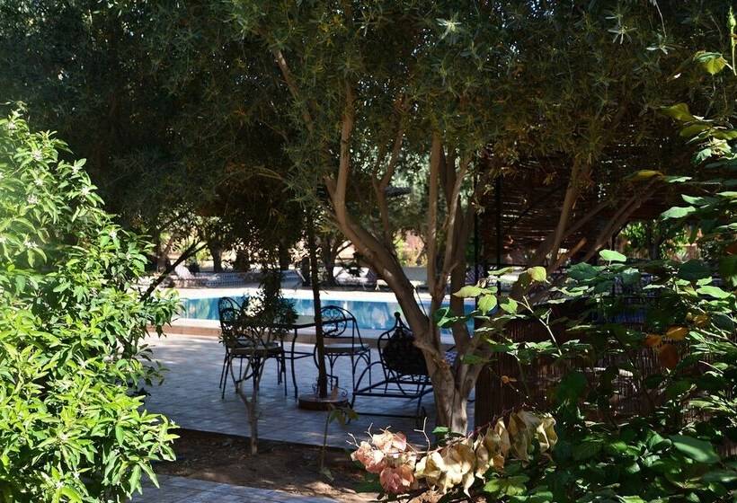 هتل Haven La Chance Desert