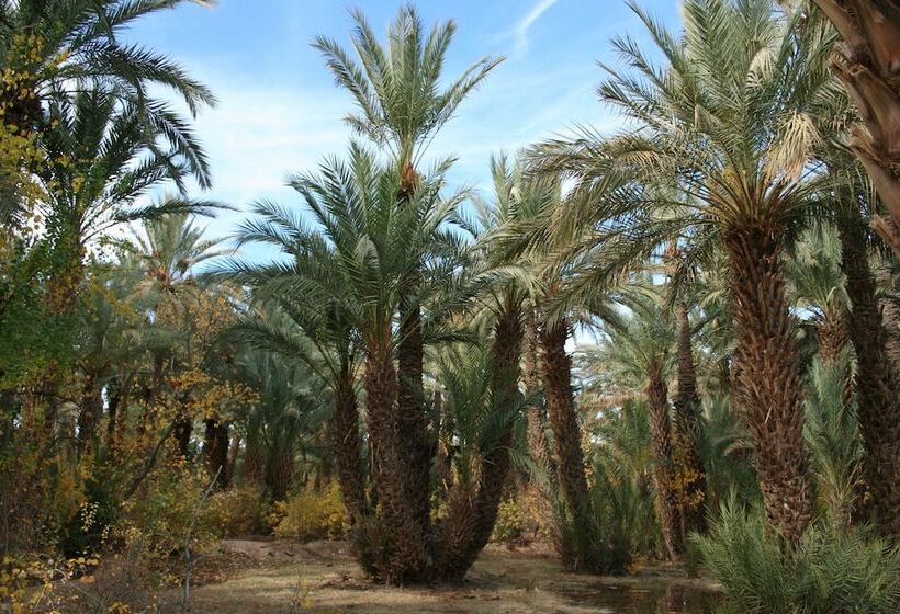 هتل Haven La Chance Desert