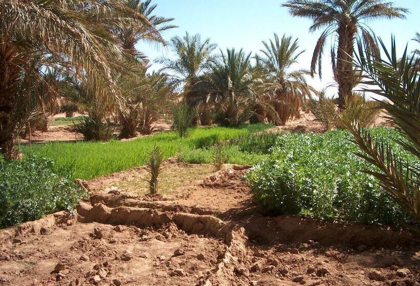 هتل Haven La Chance Desert