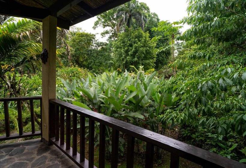 فندق Heliconia Island