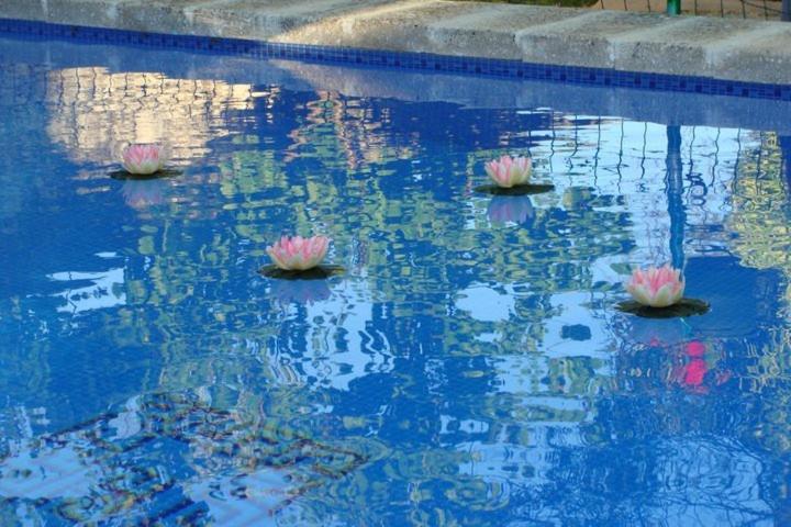 فندق ريفى Arcas De Agua