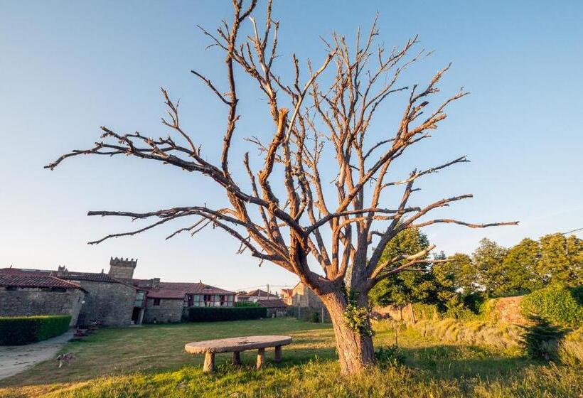 בית מלון כפרי Casa Grande De Rosende
