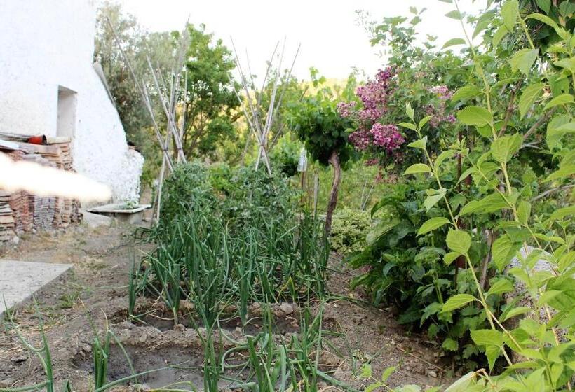 בית מלון כפרי El Ventorro Hospederia Rural