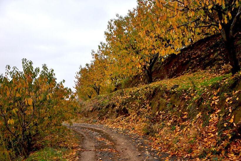 فندق ريفى La Posada Del Casar