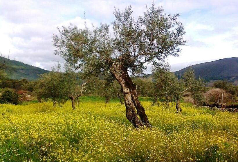 فندق ريفى La Posada Del Casar