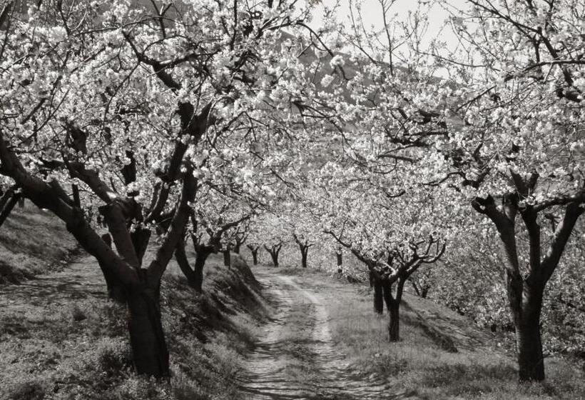 فندق ريفى La Posada Del Casar