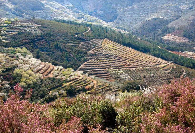 فندق ريفى La Posada Del Casar