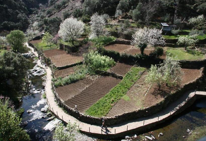 فندق ريفى La Posada Del Casar