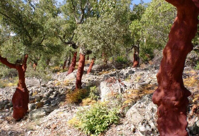 فندق ريفى La Posada Del Casar