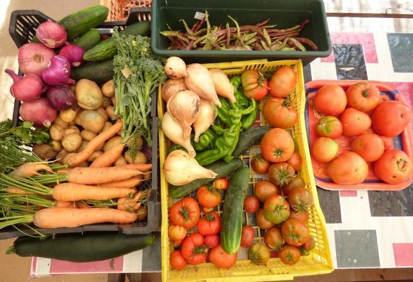 فندق ريفى Albergue Bioclimático Sabinares Del Arlanza