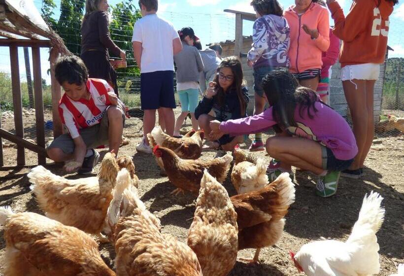 فندق ريفى Albergue Bioclimático Sabinares Del Arlanza