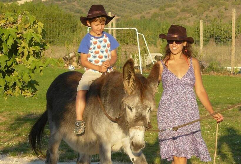 فندق ريفى Albergue Bioclimático Sabinares Del Arlanza