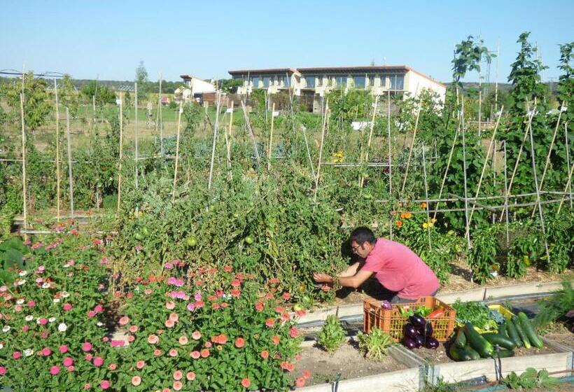 فندق ريفى Albergue Bioclimático Sabinares Del Arlanza
