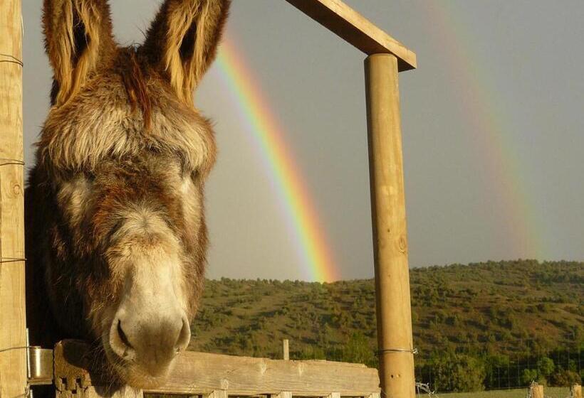 فندق ريفى Albergue Bioclimático Sabinares Del Arlanza