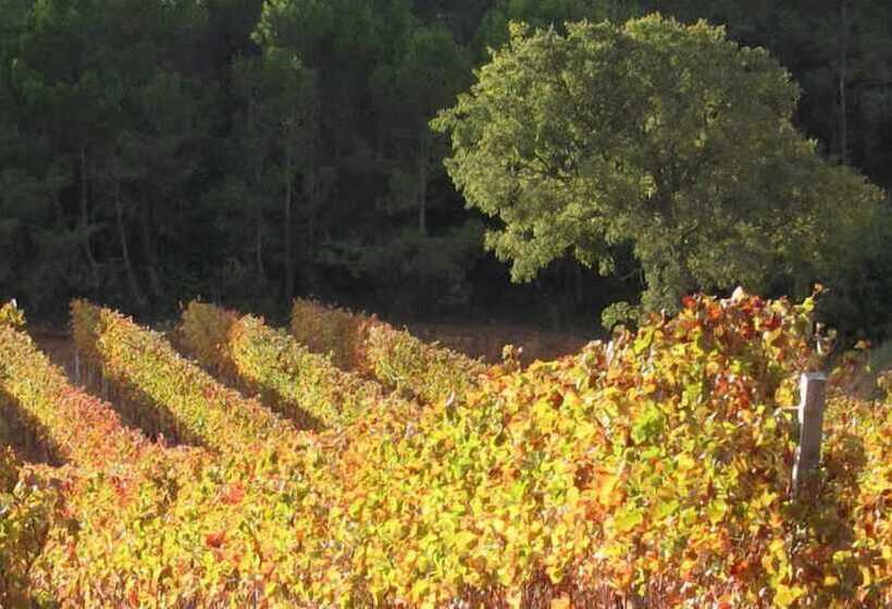 בית מלון כפרי Vilosell Wine