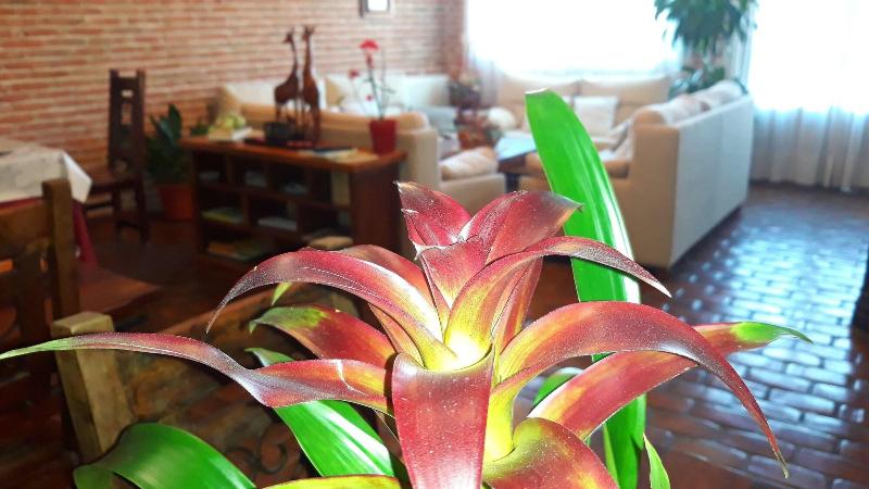 La Casa Del Marqués