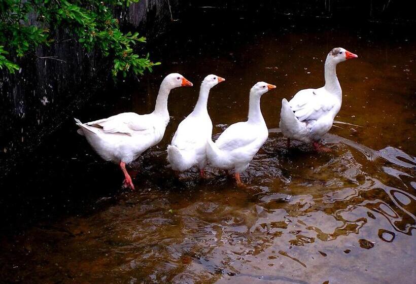 La Fabrica Casa Rural