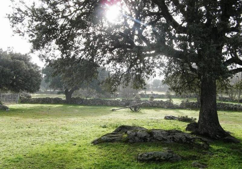 La Trocha De Hoyorredondo