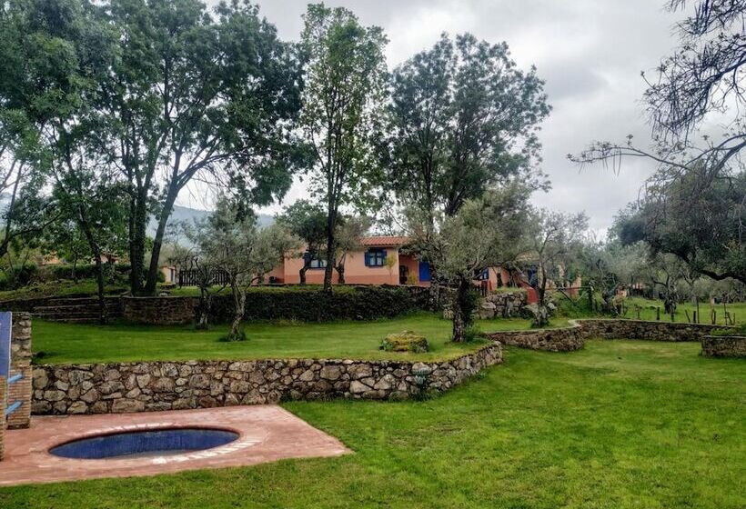 Apartamentos & Habitaciones Vetonia