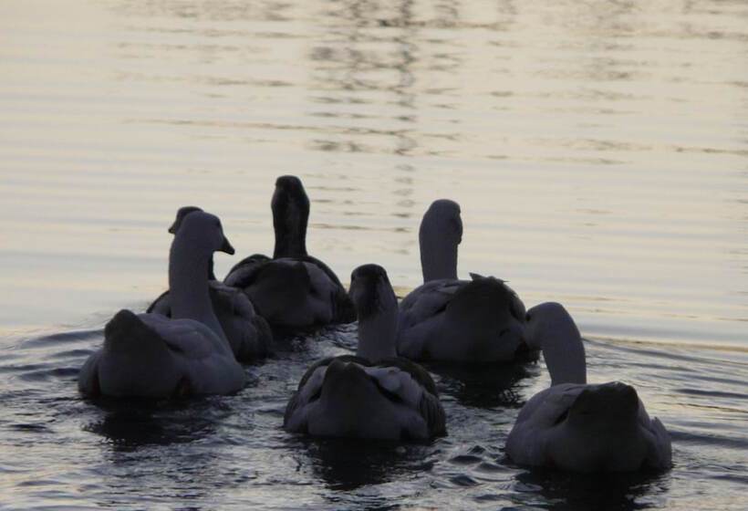 Palacio Viejo De Las Corchuelas