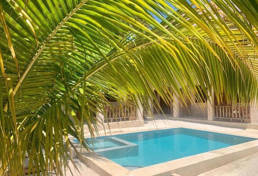 旅馆 Chokoro House