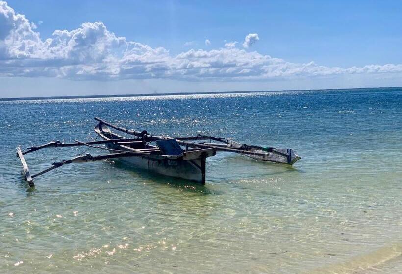 旅馆 Chokoro House