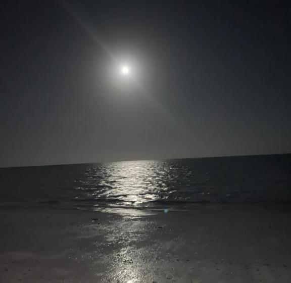 旅馆 Chokoro House