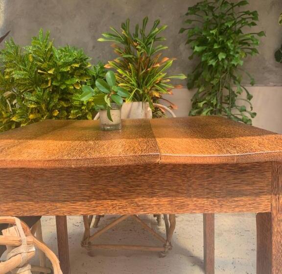 旅馆 Chokoro House