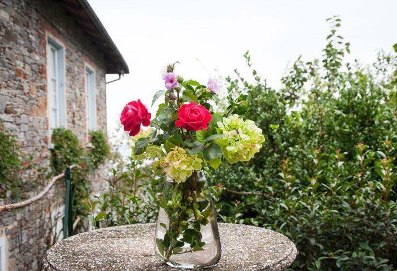 B&b Tra Lago E Stelle