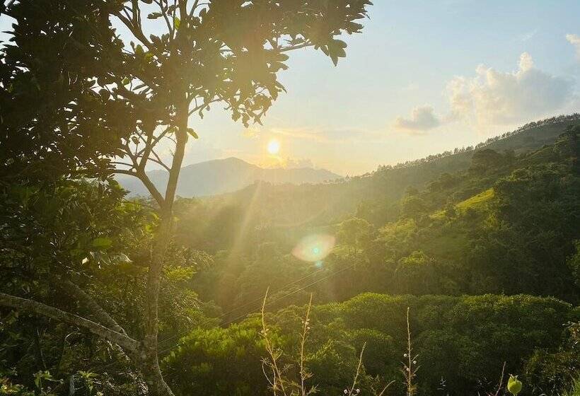 酒店 Boutique Rossé