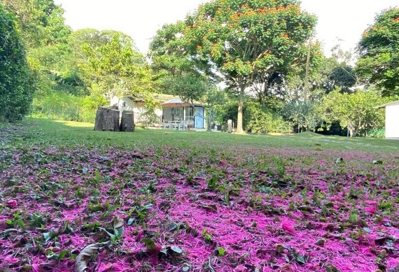 酒店 Boutique Rossé