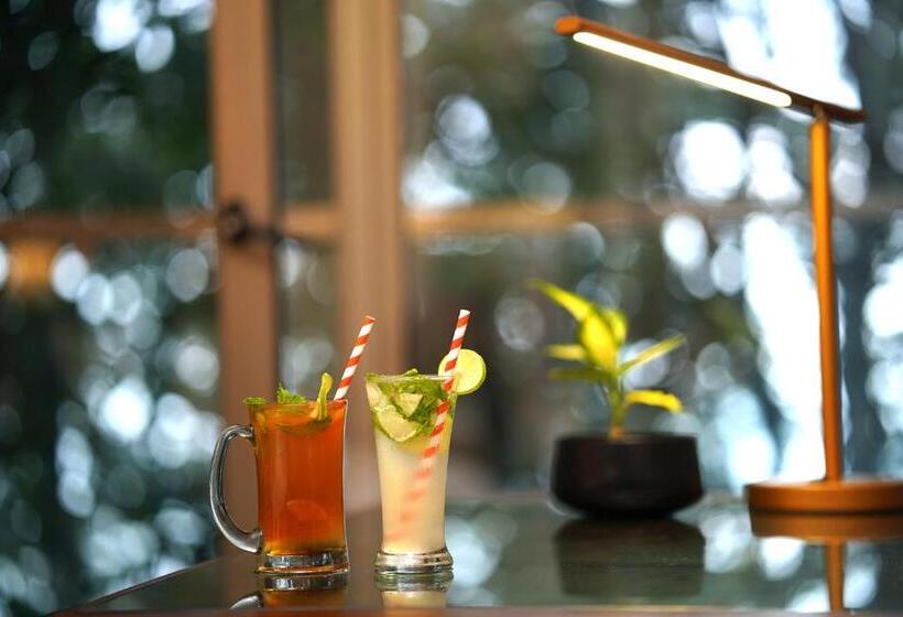 בית מלון כפרי Elephant Passage