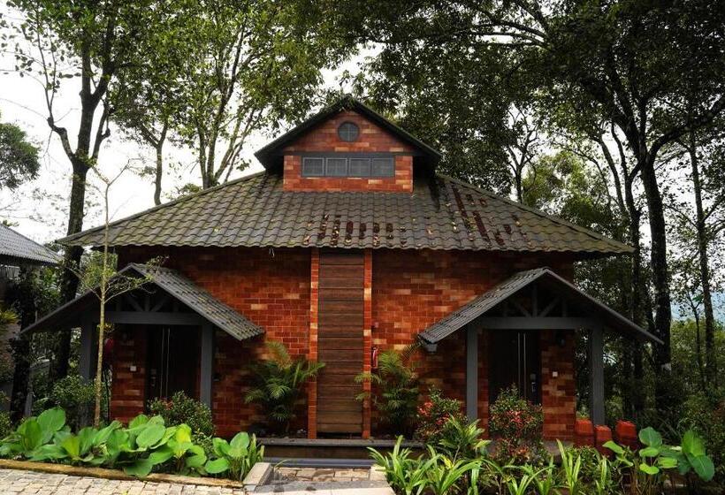 בית מלון כפרי Elephant Passage