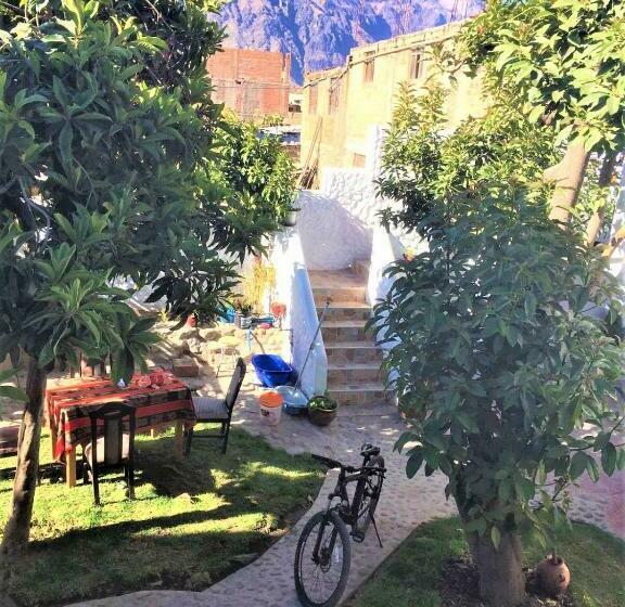 ホテル Las Palmeras Eco Hostel