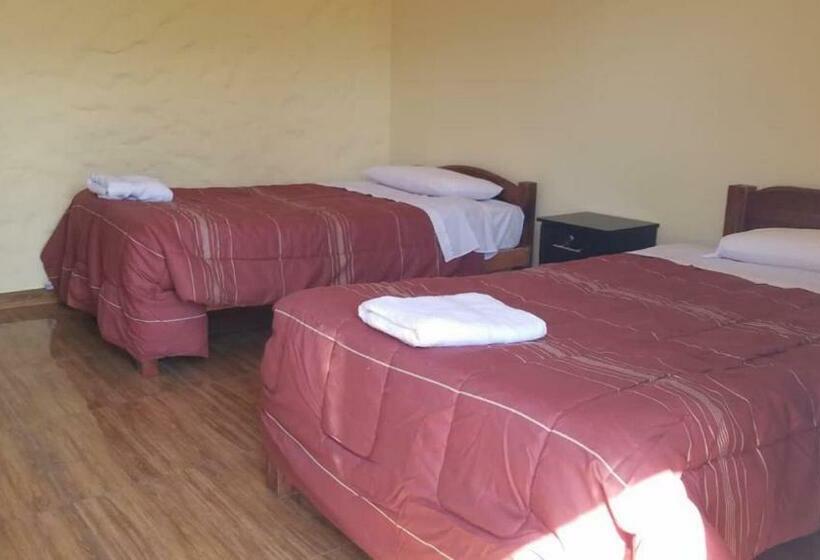 ホテル Las Palmeras Eco Hostel