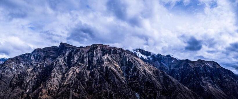 ホテル Las Palmeras Eco Hostel