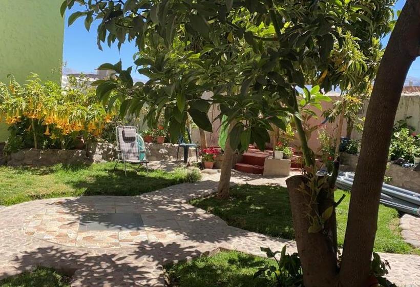 ホテル Las Palmeras Eco Hostel