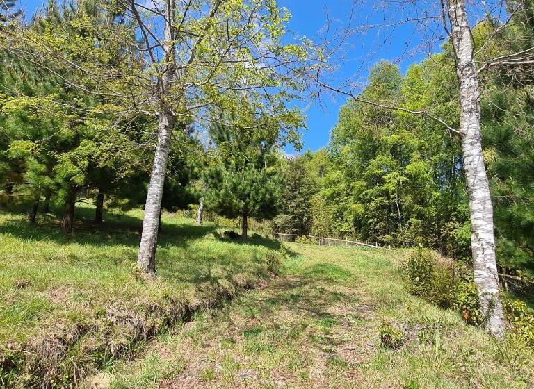 بنسيون Cerveceria Y Hosteria Lican