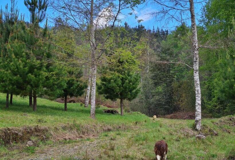 بنسيون Cerveceria Y Hosteria Lican